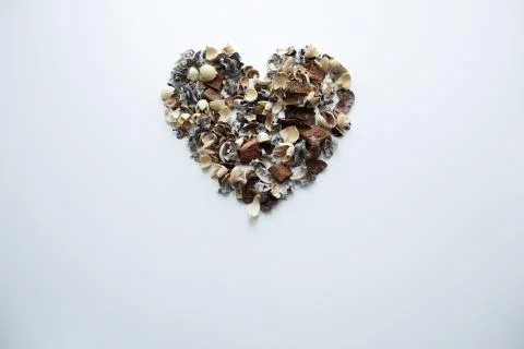 Flowers composition. Frame made of dried rose flowers on white background Stock Photos