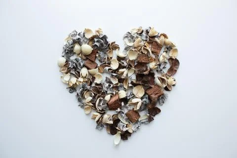 Flowers composition. Frame made of dried rose flowers on white background Stock Photos