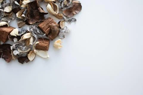Flowers composition. Frame made of dried rose flowers on white background Stock Photos
