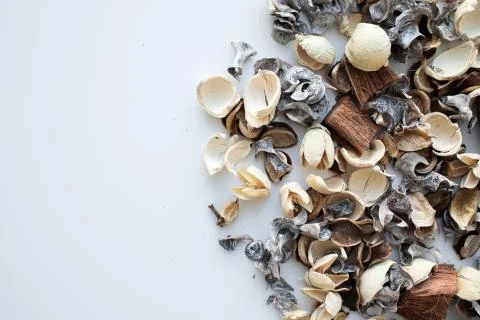 Flowers composition. Frame made of dried rose flowers on white background Stock Photos