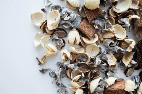 Flowers composition. Frame made of dried rose flowers on white background Stock Photos