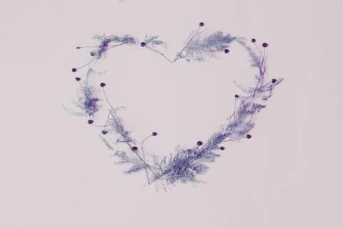 Flowers composition. Frame made of dried flowers on pastel pink background. Stock Photos