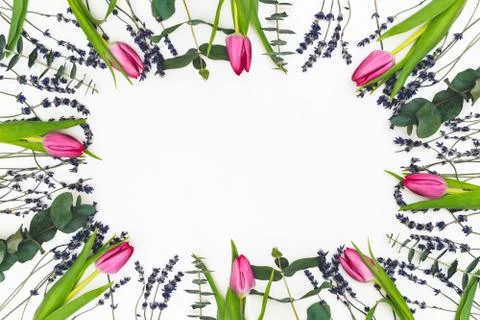 Flowers composition. Frame made of pink and lavender flowers and Stock Photos