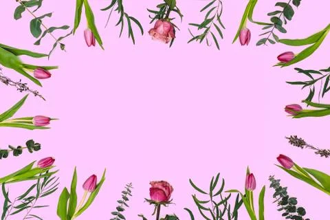 Flowers composition. Frame made of pink flowers and eucalyptus Stock Photos