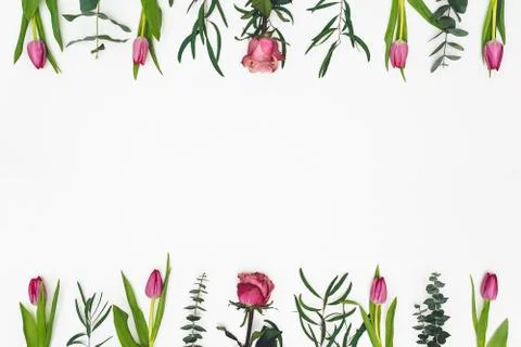 Flowers composition. Frame made of pink flowers and eucalyptus Photos