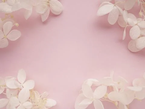 Flowers composition. Frame made of pink flowers hydrangea on white background Foto stock