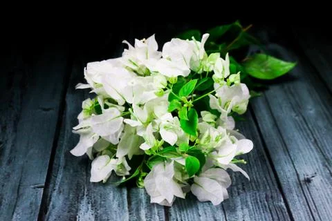 Flowers composition &amp; frame made of various white flowers on black background Stockfoto's