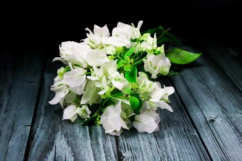 Flowers composition &amp; frame made of various white flowers on black background Foto stock