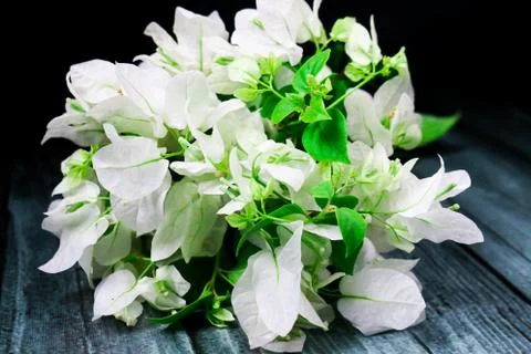 Flowers composition &amp; frame made of various white flowers on black background Stock Photos
