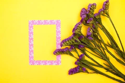 Flowers composition &amp; frame made of various flowers on paper background Stock Photos