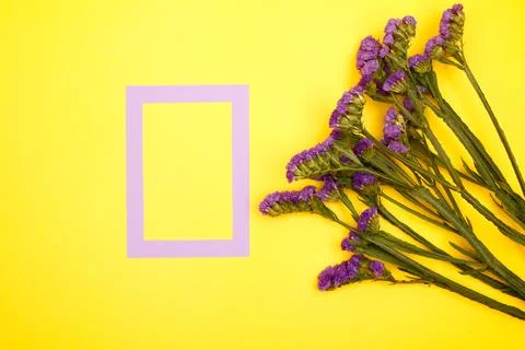 Flowers composition &amp; frame made of various flowers on paper background Stock Photos