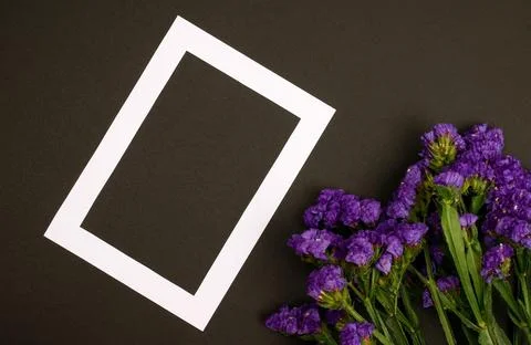 Flowers composition &amp; frame made of various flowers on paper background Stock Photos