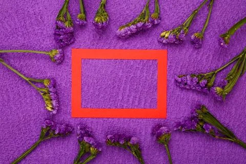 Flowers composition &amp; frame made of various flowers on paper background Stock Photos