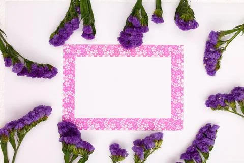 Flowers composition &amp; frame made of various flowers on paper background Stock Photos