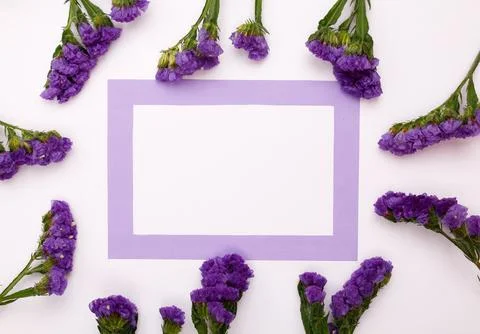 Flowers composition &amp; frame made of various flowers on paper background Stock Photos