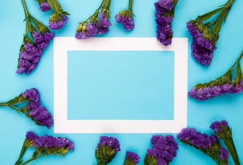 Flowers composition &amp; frame made of various flowers on paper background Stock Photos