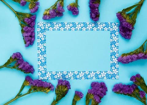 Flowers composition &amp; frame made of various flowers on paper background Stock Photos