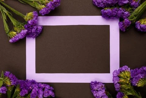 Flowers composition &amp; frame made of various flowers on paper background Stock Photos