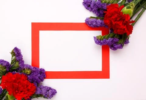 Flowers composition &amp; frame made of various flowers on paper background Stock Photos