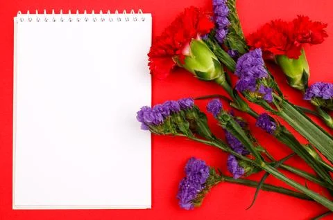 Flowers composition &amp; frame made of various flowers on paper background Stock Photos