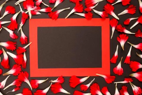 Flowers composition &amp; frame made of various flowers on paper background Stock Photos