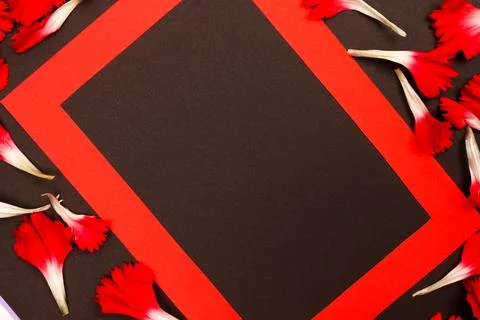 Flowers composition &amp; frame made of various flowers on paper background Stock Photos