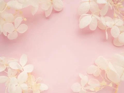 Flowers composition. Frame made of white flowers hydrangea on pink background Foto stock