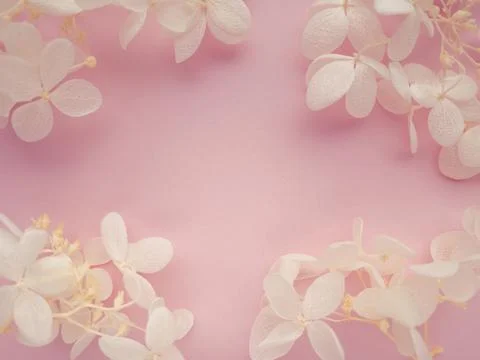 Flowers composition. Frame made of white flowers hydrangea on pink background Foto stock