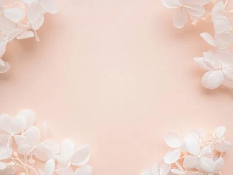 Flowers composition. Frame made of white flowers hydrangea on pink background Stock Photos