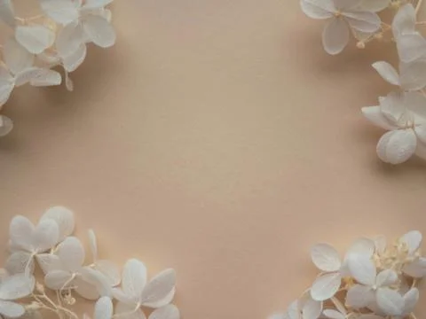 Flowers composition. Frame made of white flowers hydrangea on beige backgroun Foto stock