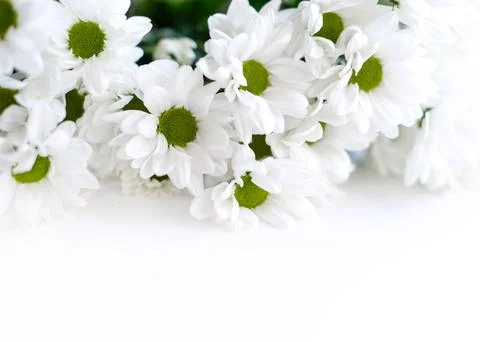 Flowers composition. Frame made of white flowers chrysanthemums on white Stock Photos