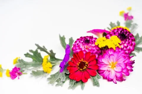 Flowers composition image Stock Photos