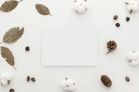 Flowers composition. paper white blank card mockup, dry leaves and cotton f.. Stock Photos