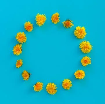 Flowers composition. Pattern made of yellow dandelions with leaves on blue pa Stock Photos