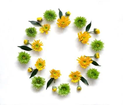 Flowers composition Stock Photos