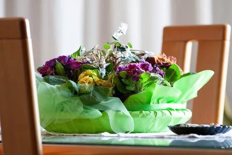 Flowers composition Stock Photos