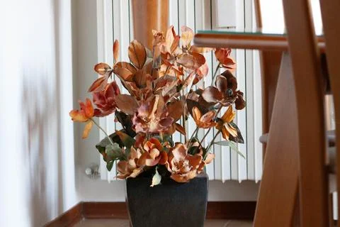 Flowers composition Stock Photos