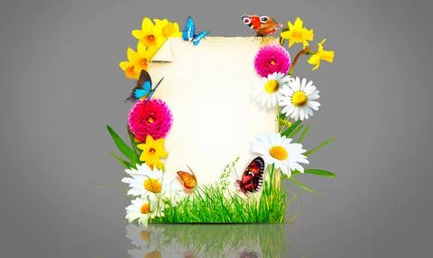 Flowers composition. Photo frame, spring flowers on parchment background. Stock Photos