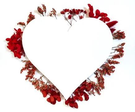 Flowers composition from red flowers in the form of a heart on white background Stock Photos
