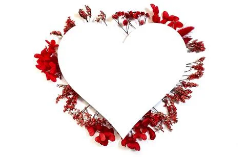 Flowers composition from red flowers in the form of a heart on white background Stock Photos
