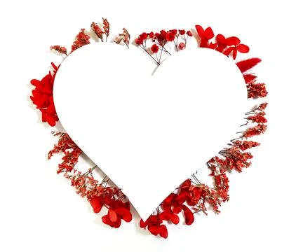 Flowers composition from red flowers in the form of a heart on white background Stock Photos