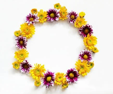 Flowers composition round frame wreath Stock Photos