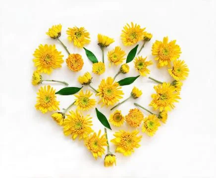Flowers composition in shape of heart Stock Photos