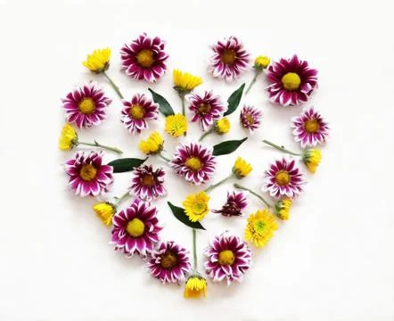 Flowers composition in shape of heart Stock Photos