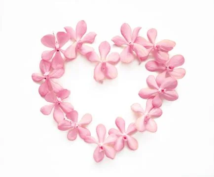 Flowers composition in shape of heart Stock Photos