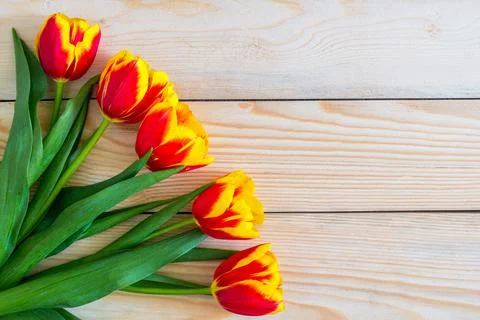 Flowers composition. Springtime red tulip flowers on wooden background with copy Stock Photos