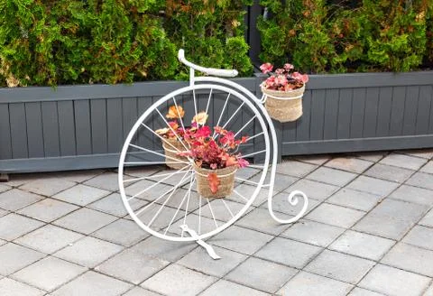 Flowers composition with stylized bicycle Stock Photos