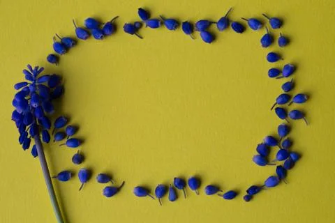 Flowers composition on yellow background Foto stock