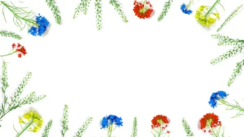 Flowers composition.Blue, yellow and red wildflowers Stock Footage 130192372