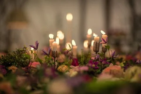 Flowers concept design Stock Photos